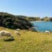 Bay of Islands, Paihia Sehenswürdigkeiten, Nordinsel, Neuseeland