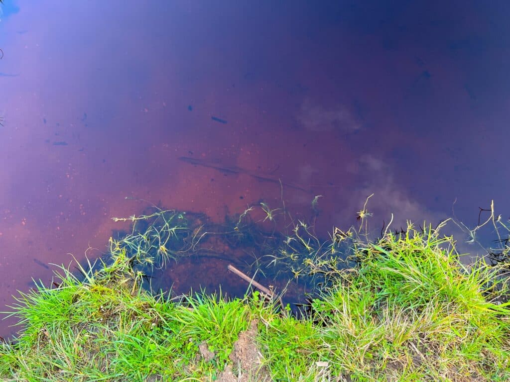 Coca Cola Lake, Karikari Peninsula, Nordinsel Neuseeland