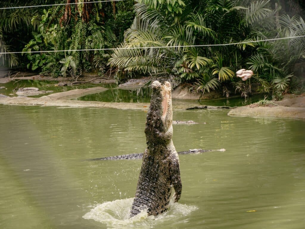 Kuching Sehenswürdigkeiten, Borneo, Malaysia