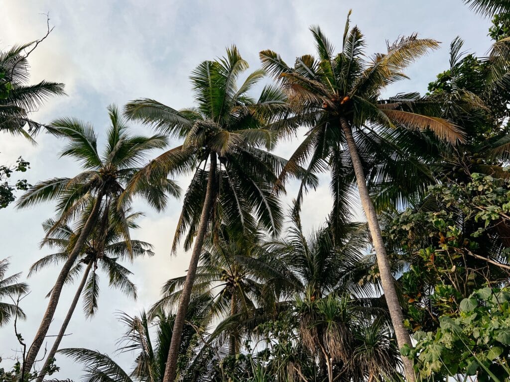 Balian Beach Sehenswürdigkeiten, Mejan Beach, Bali, Indonesien