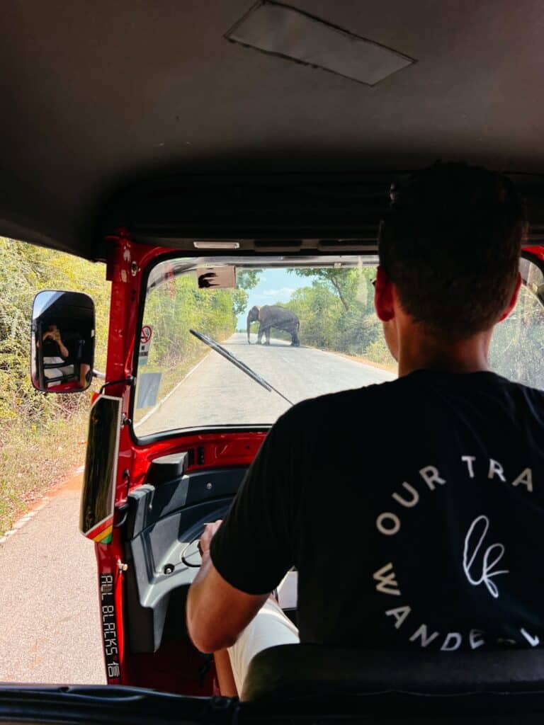 Mit dem eigenen Tuk Tuk durch Sri Lanka - Tuk Tuk Rental Sri Lanka