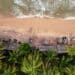 Goyambokka Beach, Tangalle Sehenswürdigkeiten, Sri Lanka