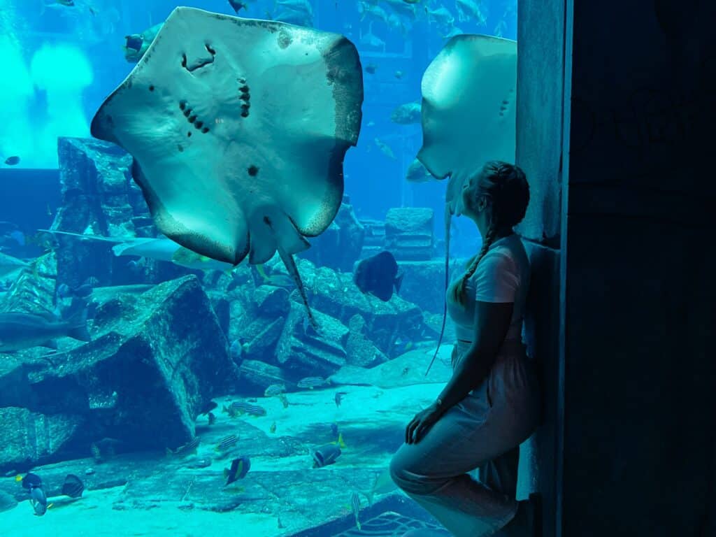 Aquarium, Dubai Sehenswürdigkeiten