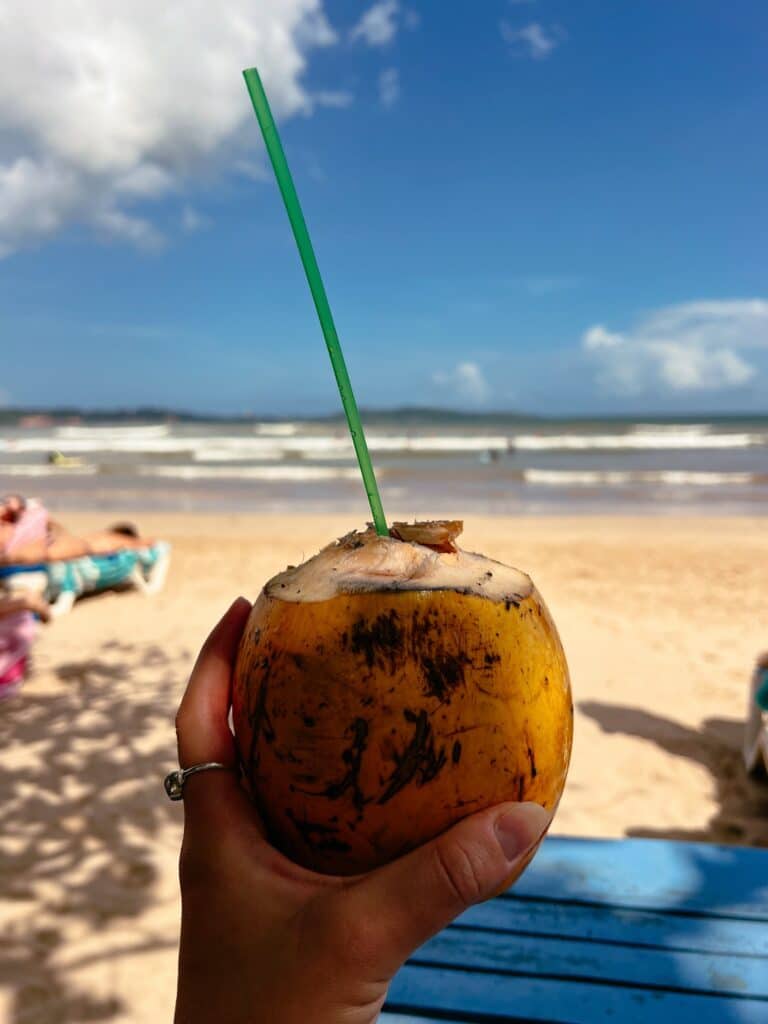 King Coconut am Weligama Beach, Mirissa Sehenswürdigkeiten, Sri Lanka