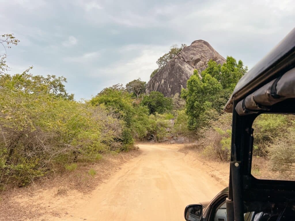Yala Nationalpark, Safari, Sri Lanka