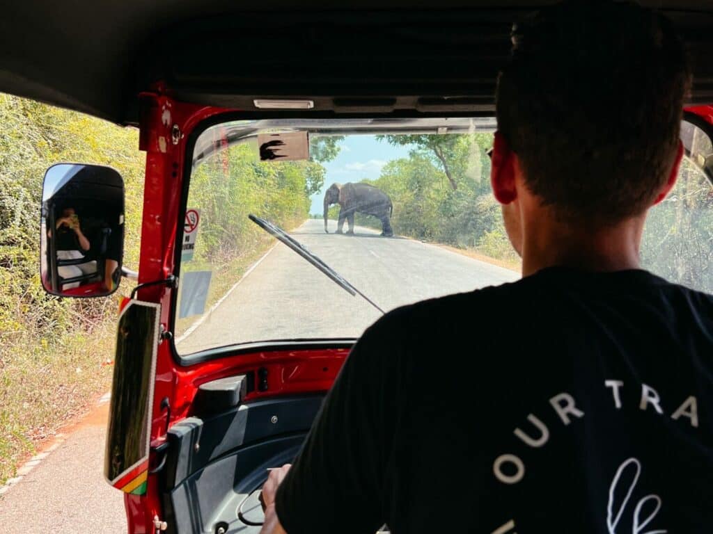 Mit dem eigenen Tuk Tuk durch Sri Lanka - Tuk Tuk Rental Sri Lanka, Sri Lanka Rundreise 3 Wochen