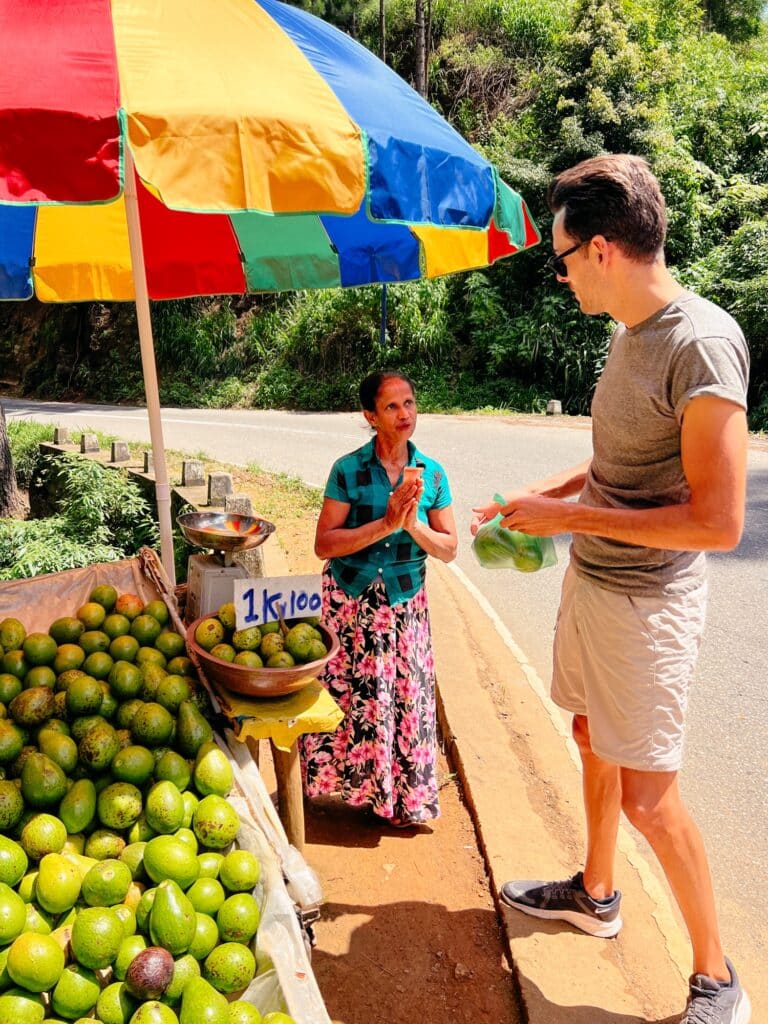 Sri Lanka Malediven Rundreise - Avocado Stand am Wegesrand