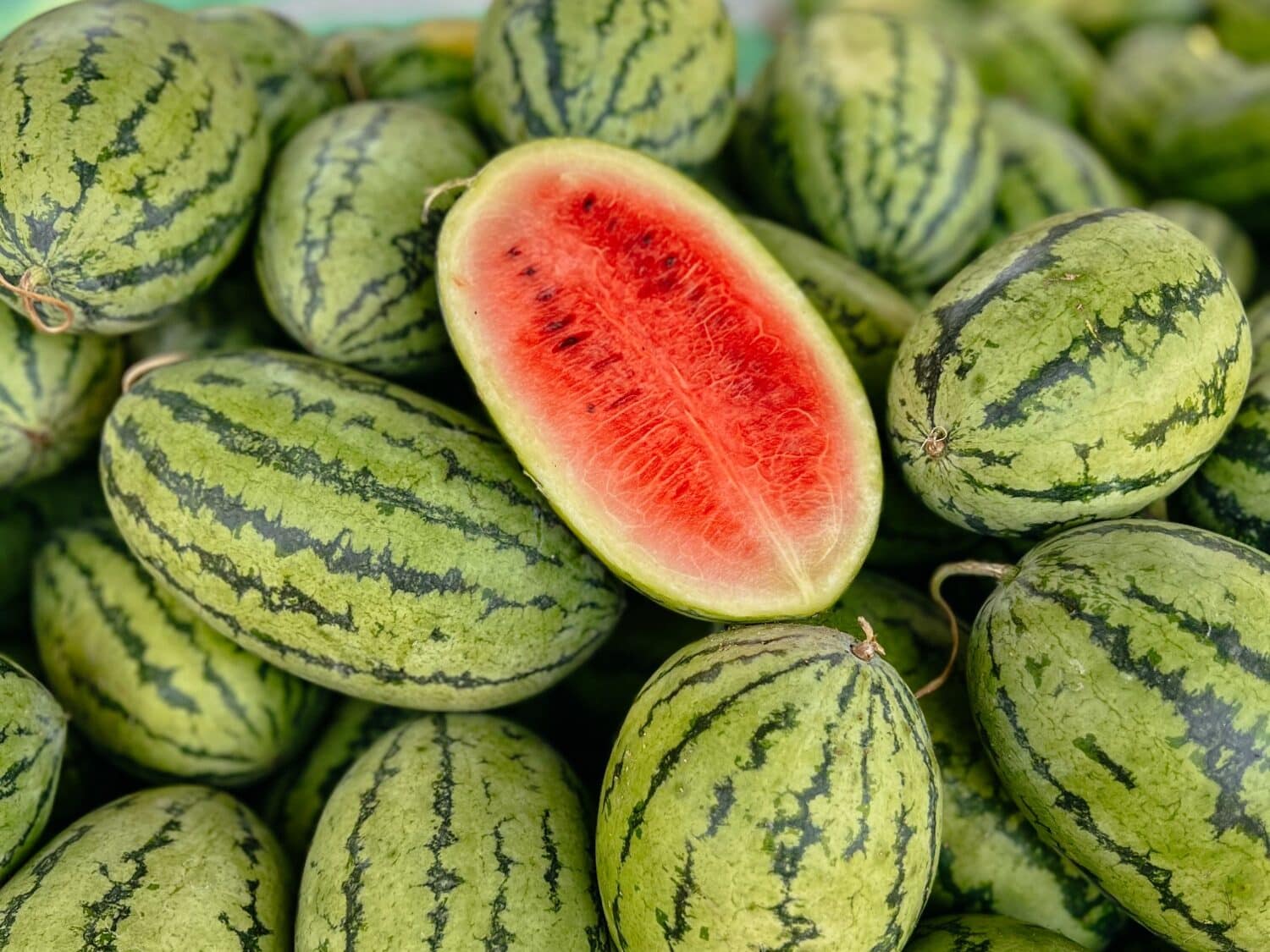 Wassermelonen in Sri Lanka am Yala Nationalpark