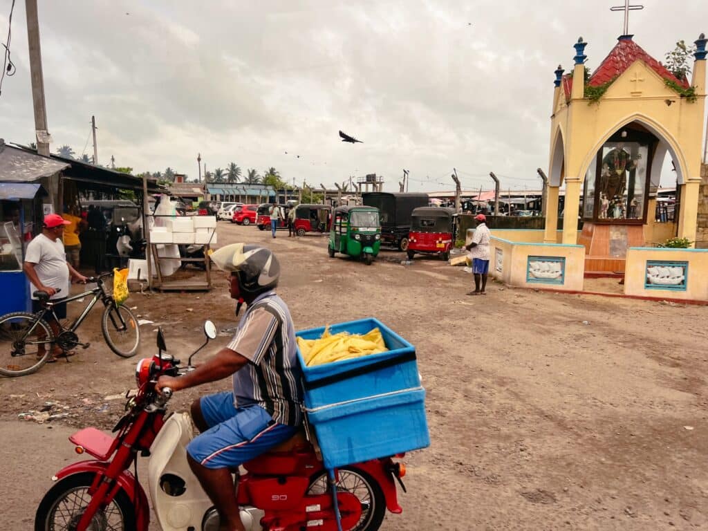 Negombo Fish Market, Negombo Sehenswürdigkeiten, Sri Lanka