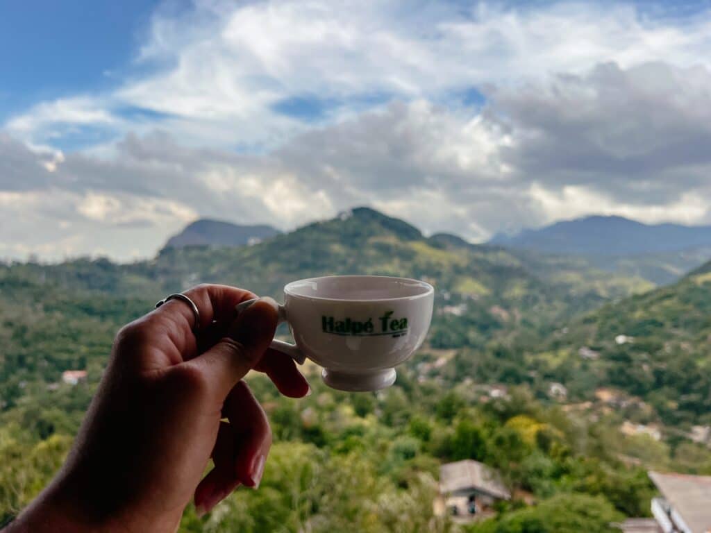 Uva Halpewatte Tea Factory Tour, Ella, Sri Lanka