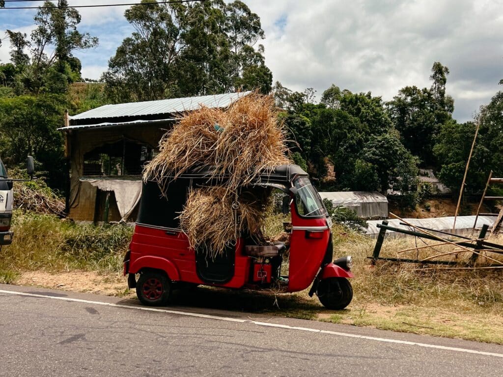 Fahrt von Ella nach Nuwara Eliya mit dem Tuk Tuk, Sri Lanka