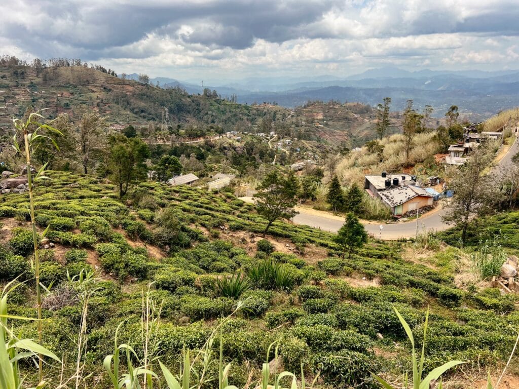 Fahrt von Ella nach Nuwara Eliya mit dem Tuk Tuk, Sri Lanka