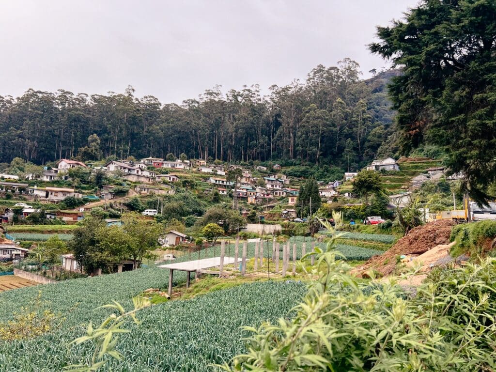 Weg zum Lovers Leap Wasserfall, Nuwara Eliya, Sri Lanka