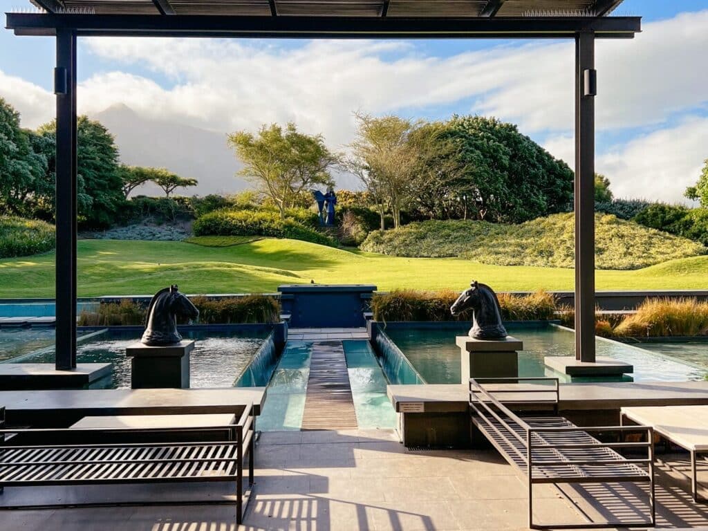 Steenberg Wine Estate, Constantia Sehenswürdigkeiten und Weingüter, Kapstadt, Südafrika