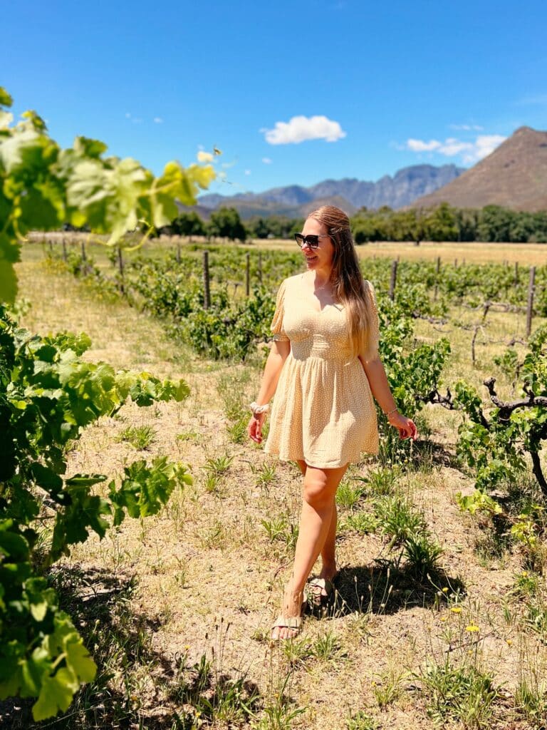 Eikehof Wines, Franschhoek Sehenswürdigkeiten und Weingüter, Südafrika