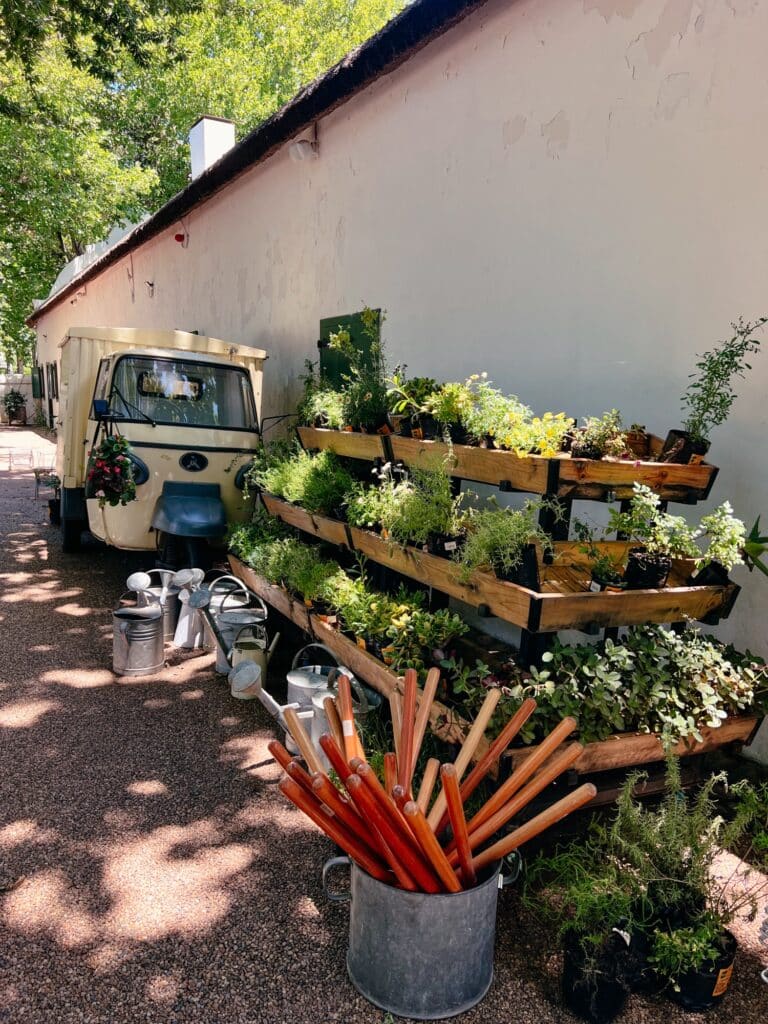 Boschendal Wine Estate, Franschhoek Sehenswürdigkeiten und Weingüter, Südafrika