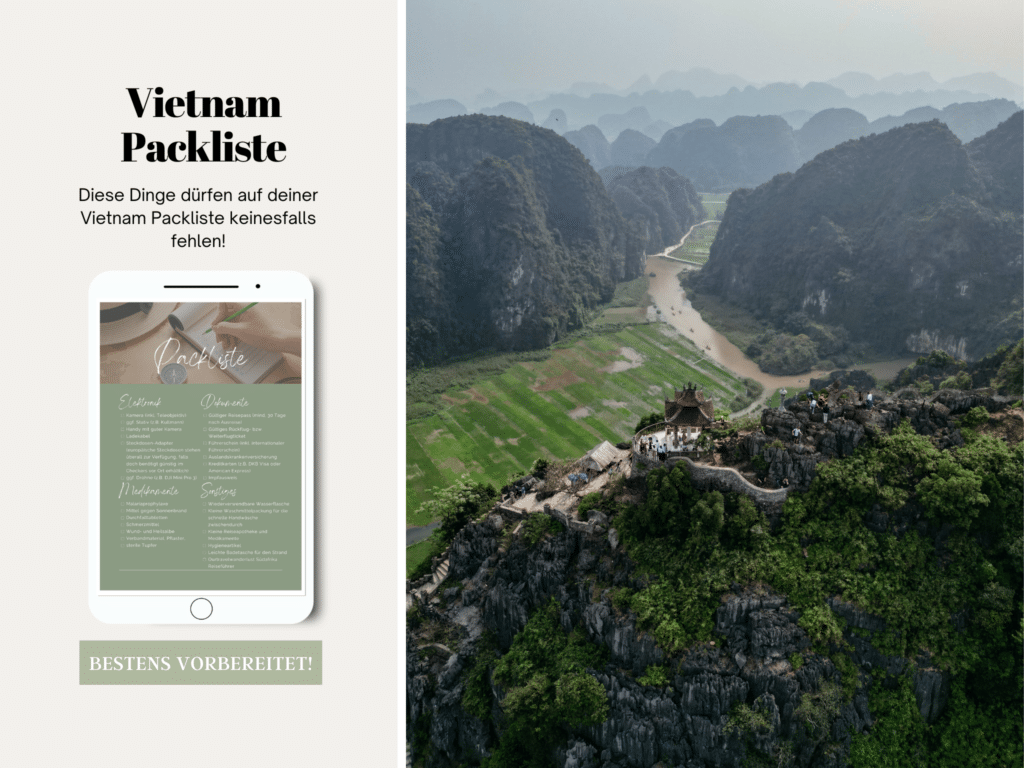 Vietnam Mückenstich