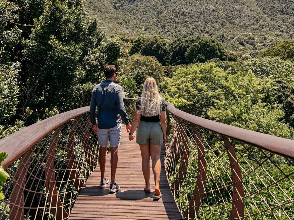 Kapstadt Sehenswürdigkeiten, Kirstenbosch National Botanical Garden, Südafrika
