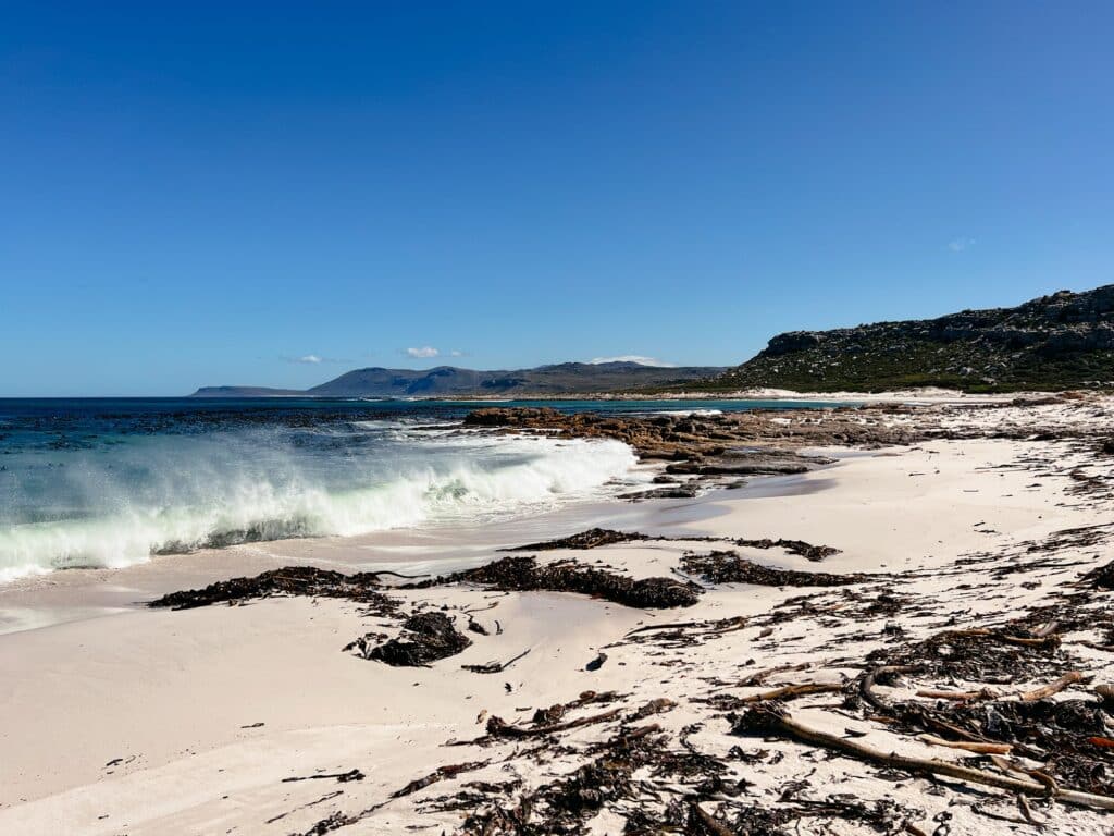Olifantsbos, Cape Point National Park, Kap Halbinsel, Südafrika
