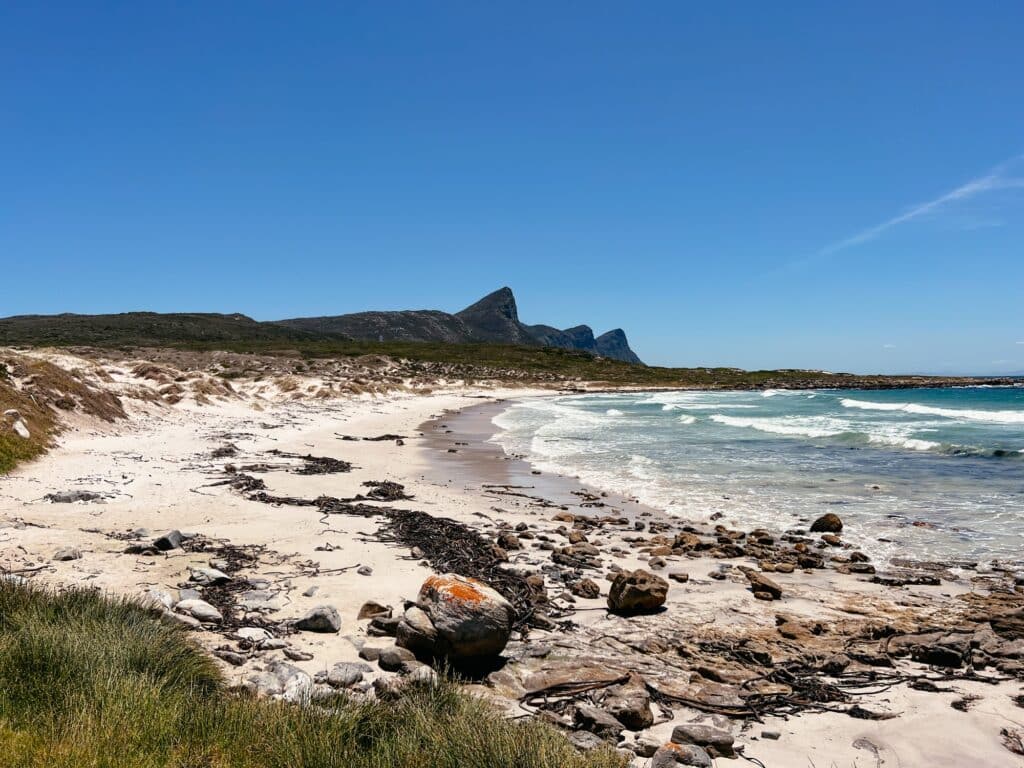 Buffels Bay, Cape Point National Park, Kap Halbinsel, Südafrika
