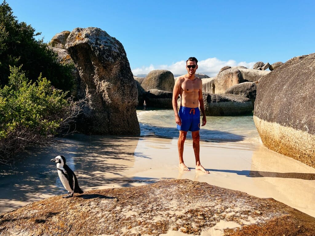 Boulder's Beach Pinguine, Kap Halbinsel, Südafrika