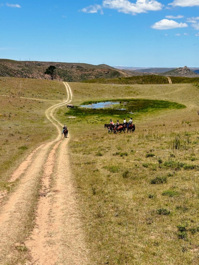 Auf Safari im Botlierskop Game Reserve an der Garden Route, Südafrika