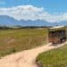 Botlierskop Private Game Reserve, Safari entlang der Garden Route, Südafrika