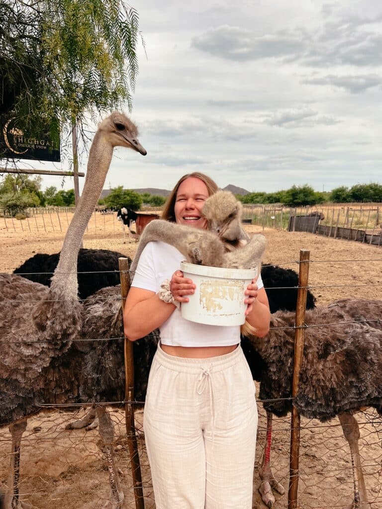Oudtshoorn Sehenswürdigkeiten, Route 62, Südafrika