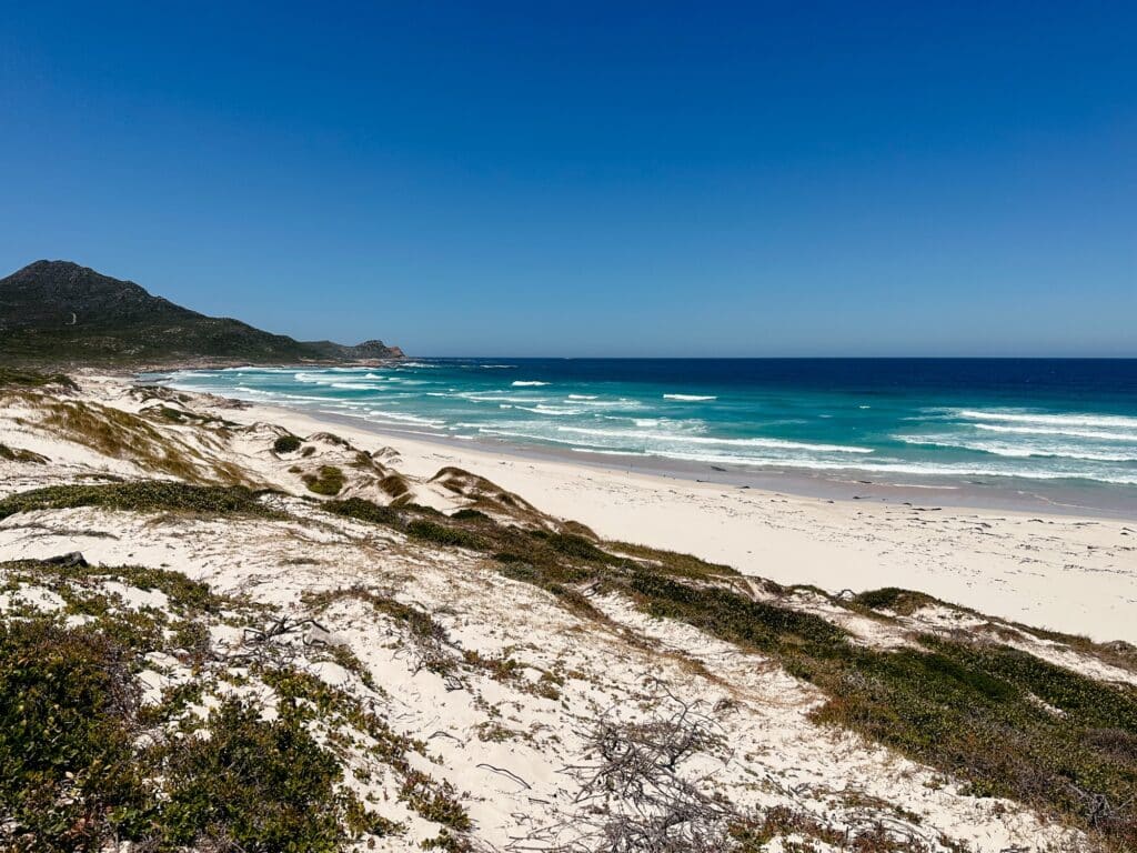 Platboom Beach, Cape Point National Park, Kap Halbinsel, Südafrika