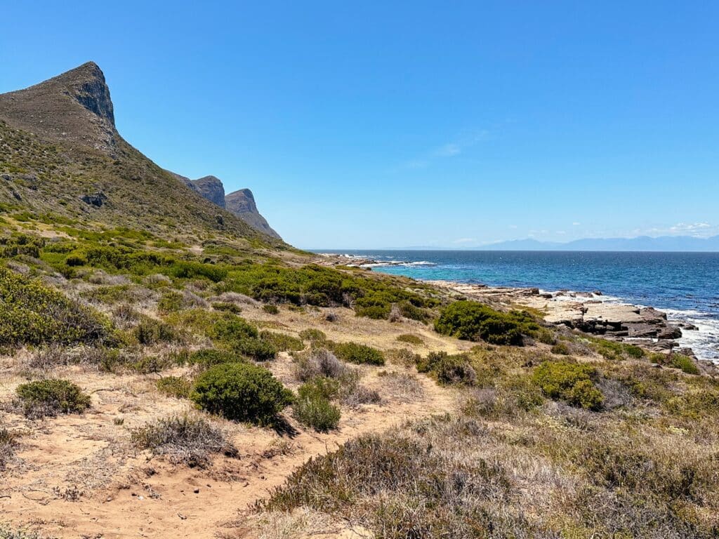 Black Rocks, Cape Point Nature Reserve, Kap der Guten Hoffnung, Südafrika