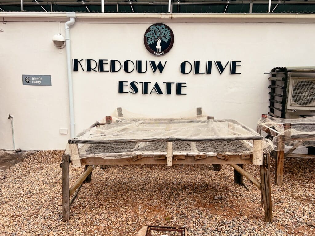 Kredouw Olive Estate, Prince Albert Sehenswürdigkeiten, Karoo, Südafrika