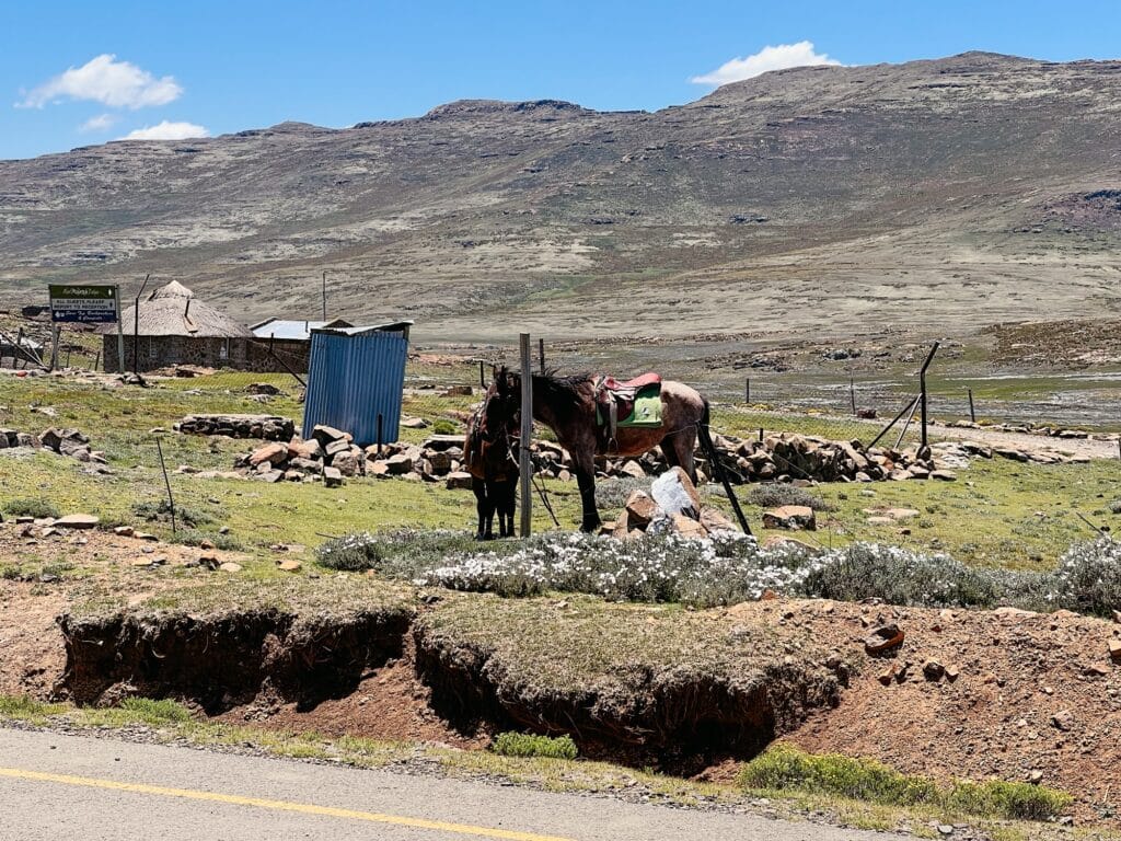 Sani Pass von Südafrika nach Lesotho, Underberg, Drakensberge, Südafrika