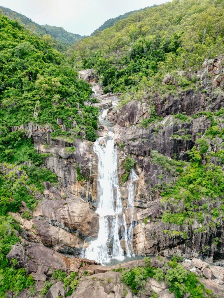 Paluma Range Nationalpark zwischen Townsville und Mission Beach, Australien