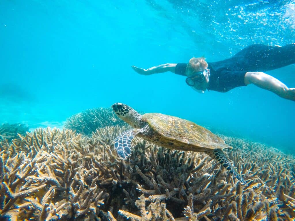 Schnorcheln & Tauchen im Great Barrier Reef in Australien, Great Keppel Island