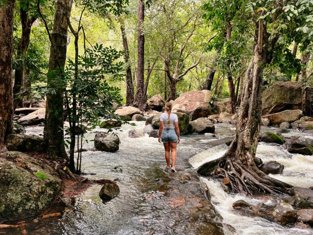 Paluma Range Nationalpark, Queensland, Ostküste, Australien