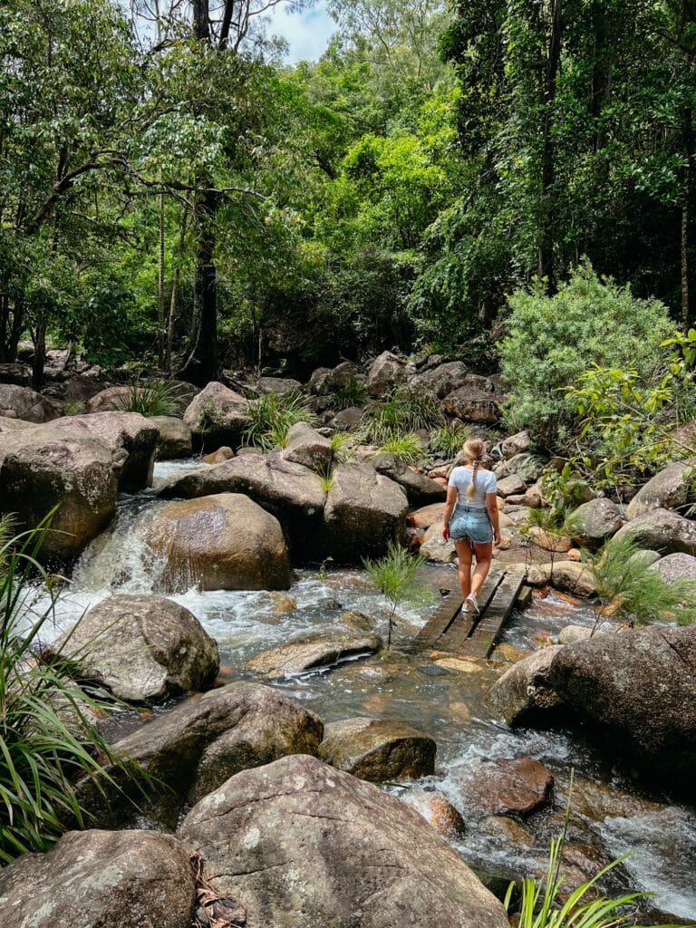 Paluma Range Nationalpark zwischen Townsville und Mission Beach, Australien
