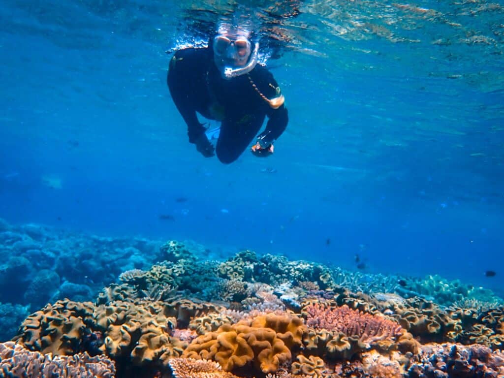 Schnorcheln & Tauchen im Great Barrier Reef in Australien, Opal Reef