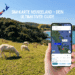 SIM Karte Neuseeland - Der ultimative Guide