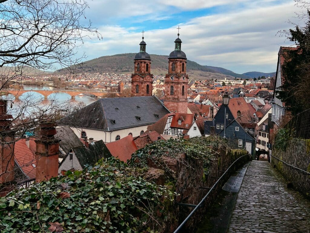 Die Mildenburg in Miltenberg am Main