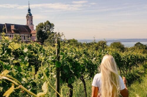 Bodensee Sehenswürdigkeiten - Aussicht über die Weinberge und den See bei der Wallfahrtskirche Birnau