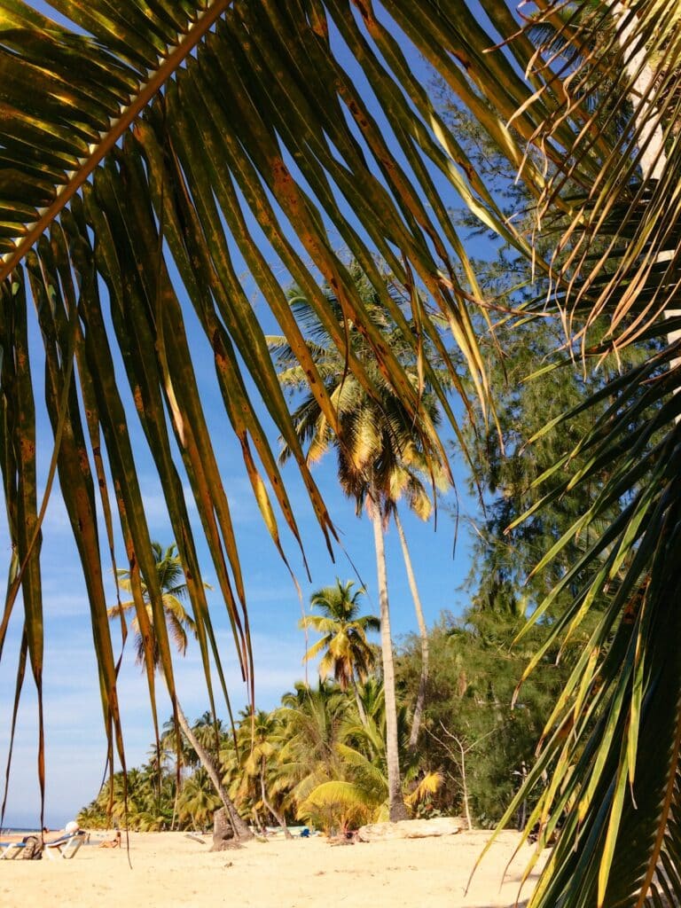 Las Terrenas auf der Halbinsel Samana, Dominikanische Republik