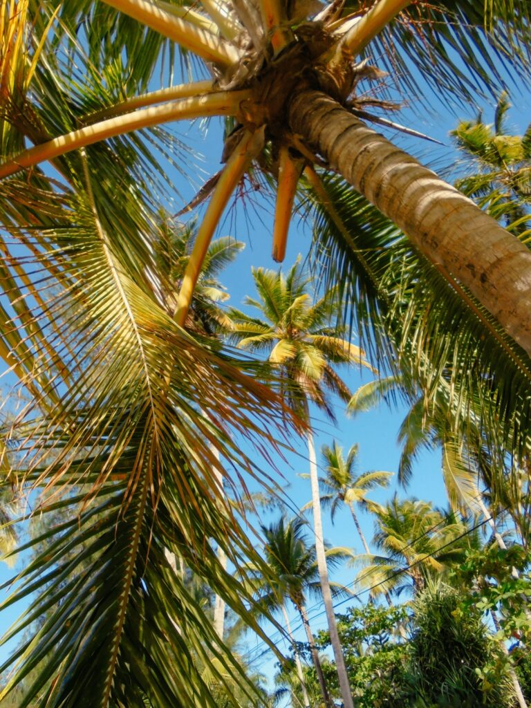 Las Terrenas auf der Halbinsel Samana, Dominikanische Republik