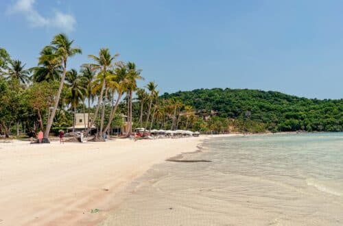 Palmen und Sandstrand am Sao Beach auf Phu Quoc Vietnam, eine der schönsten Phu Quoc Sehenswürdigkeiten