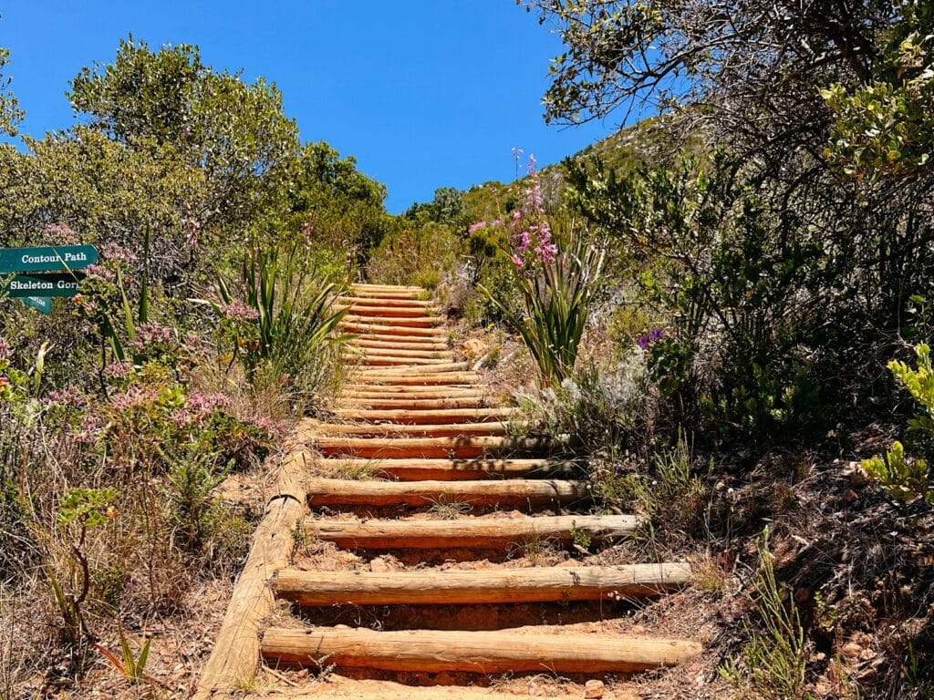 Beginn des Skeleton Gorge Hiking Trails auf den Tafelberg in Kapstadt im Kirstenbosch Botanical Garden in Südafrika