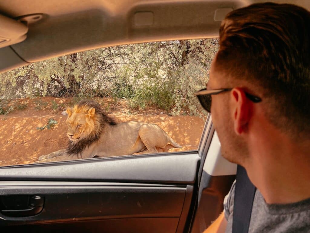 Auf Safari mit dem eigenen Mietwagen im Kgalagadi Transfrontier Nationalpark
