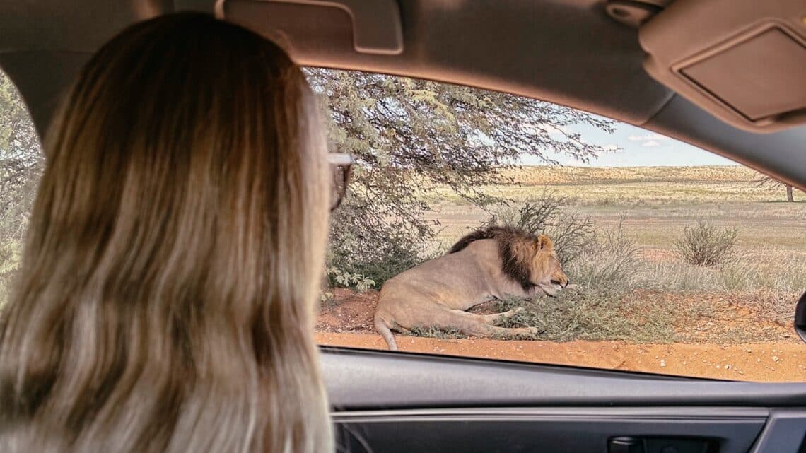 Mit dem Mietwagen unterwegs in Südafrika, Mietwagen Südafrika