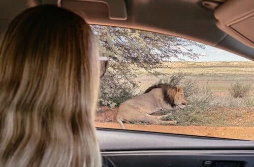 Mit dem Mietwagen unterwegs in Südafrika, Mietwagen Südafrika