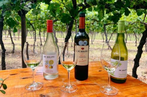 Südafrika Souvenirs: Wein vom Weingut De Kraans in Calitzdorp an der Route 62