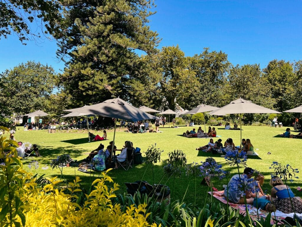 Picknick auf der Wiese vom Weingut Buitenverwachting in Constantia Kapstadt, Südafrika